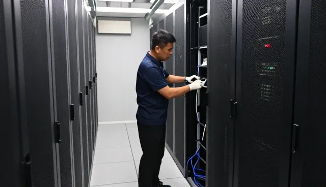 绿化养护在真实环境中的表现